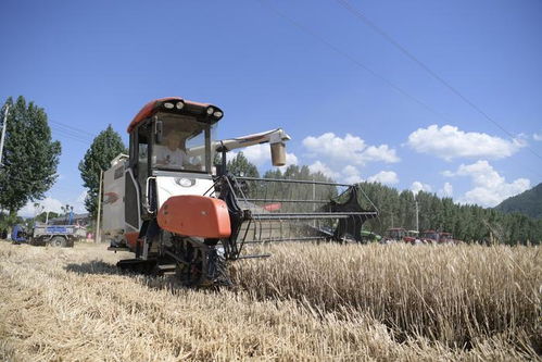 陕西省农业机械化发展中心的使命与农业机械现代化之路